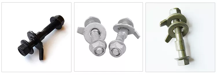 Camber Eccentric Screw